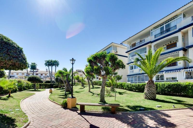 Bungalow Con Terraza La Mata La Mata  Ngoại thất bức ảnh