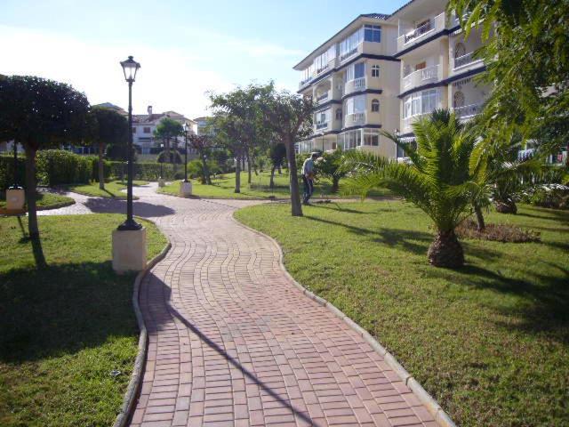 Bungalow Con Terraza La Mata La Mata  Ngoại thất bức ảnh